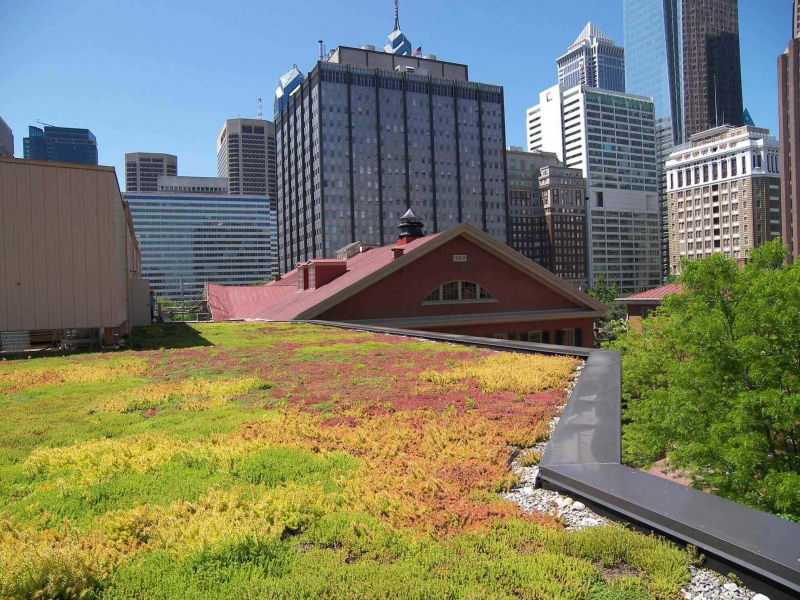 paysagiste-ST VALLIER DE THIEY-min_green-roof-portfolio-4