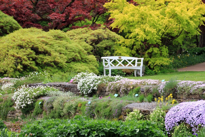 paysagiste-ST VALLIER DE THIEY-min_landscape-tree-grass-plant-lawn-flower-1118629-pxhere.com